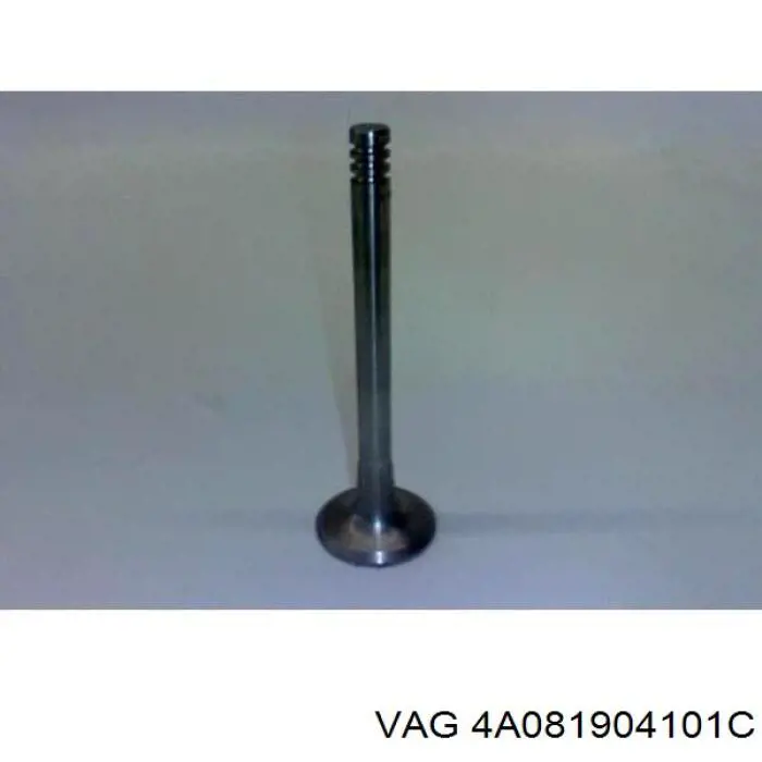 Comprar 4A081904101C VAG 