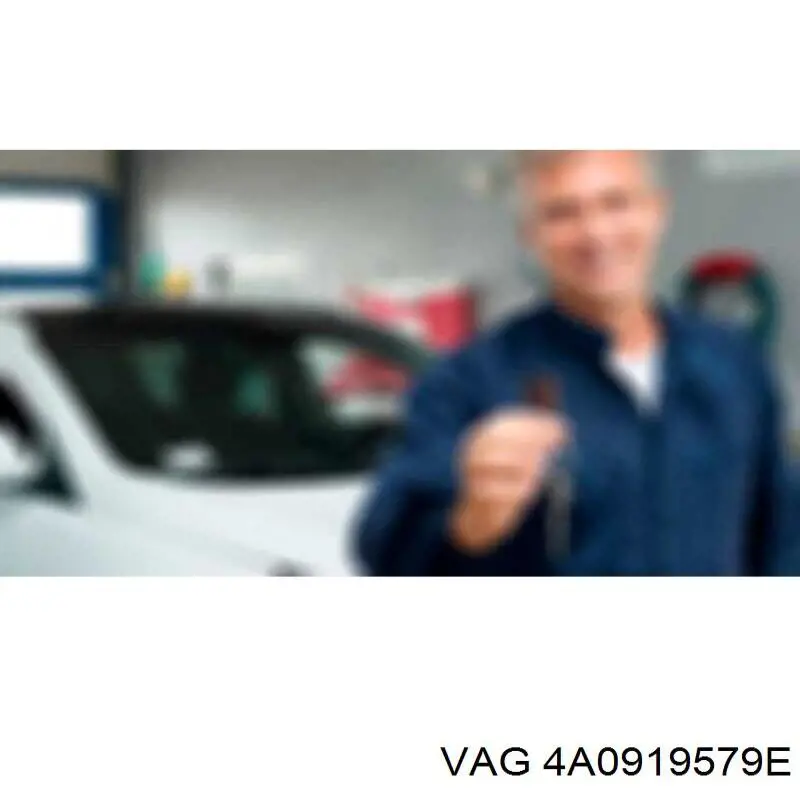  VAG 4A0919579E precio, desde 37,40 EUR