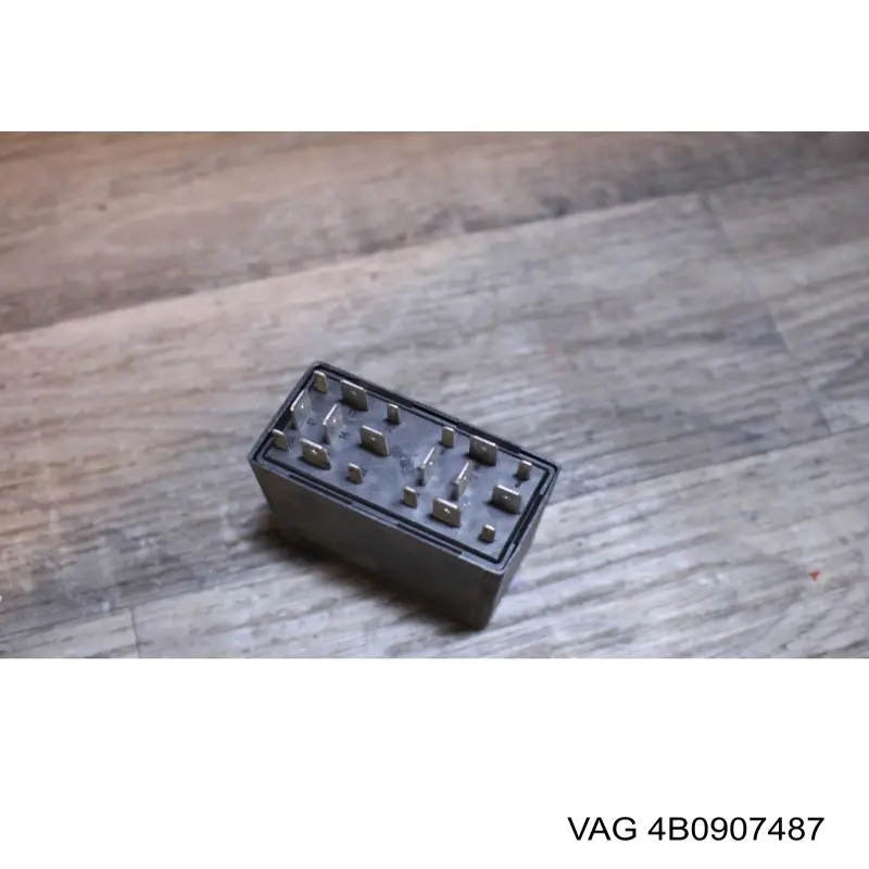  VAG 4B0907487