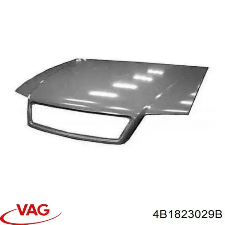 Capó 4B1823029B VAG