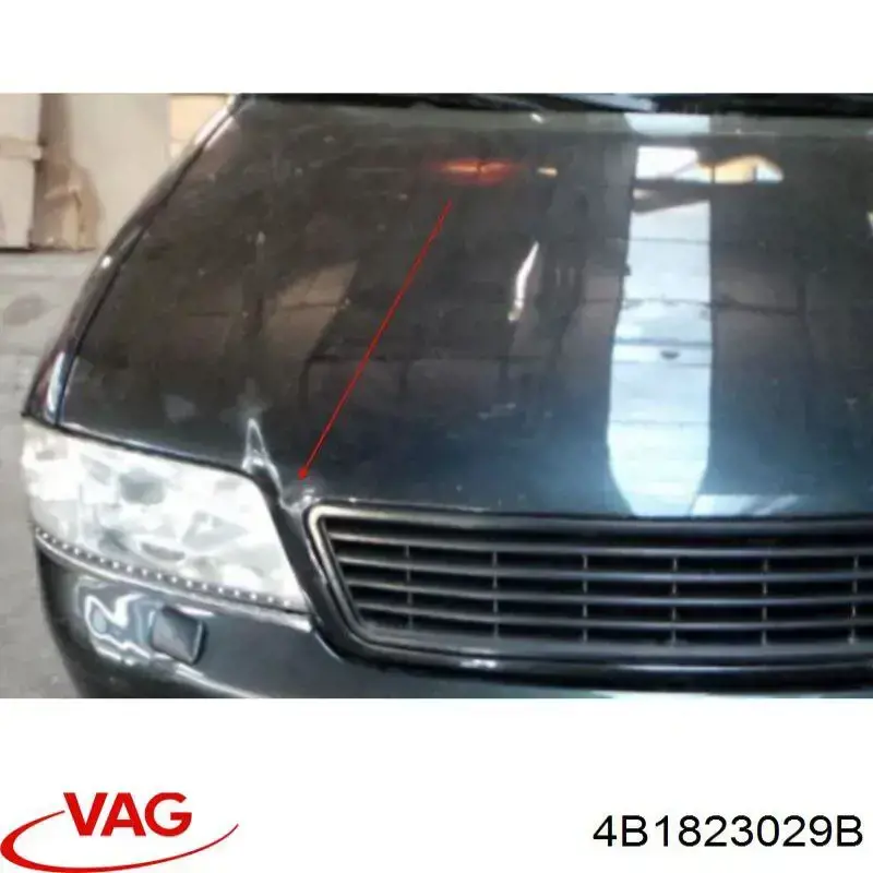 Comprar 4B1823029B VAG Capó