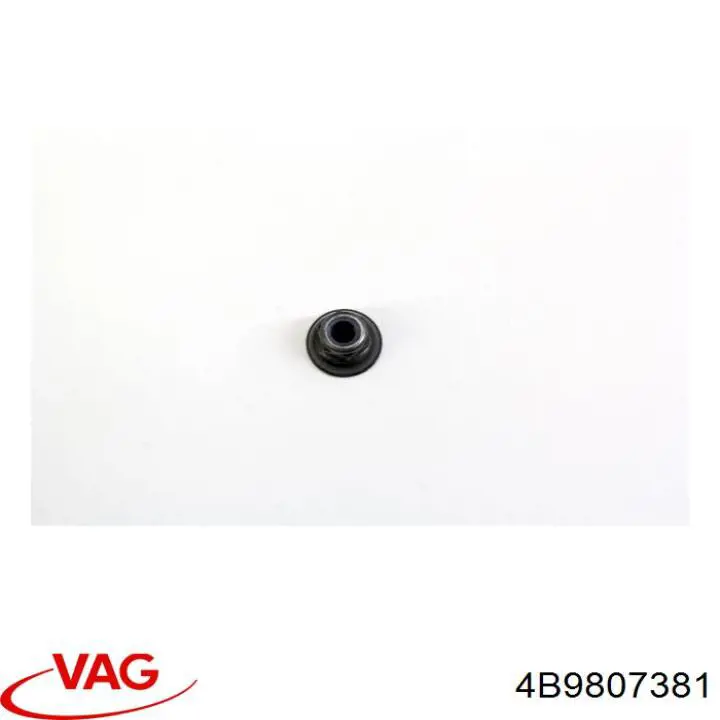 Soporte central del parachoques trasero VAG 4F0807381 precio, desde 55,87 EUR