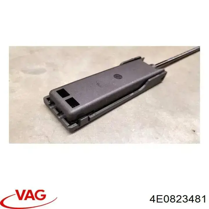  VAG 4E0823481