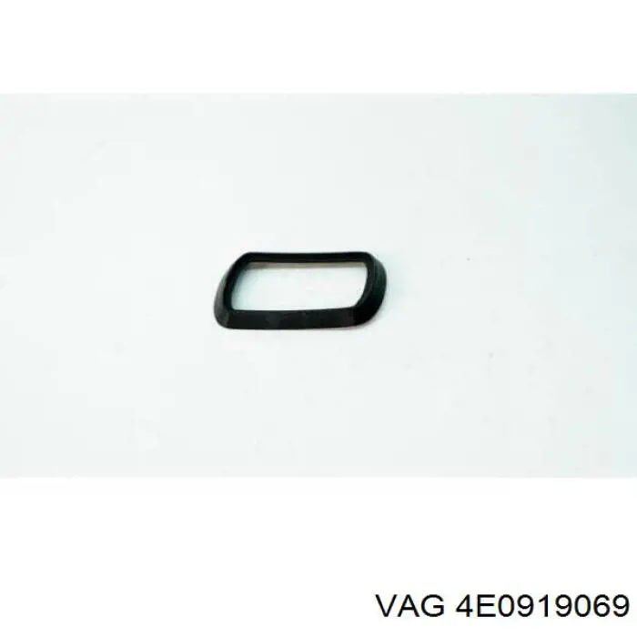Comprar 4E0919069 VAG 