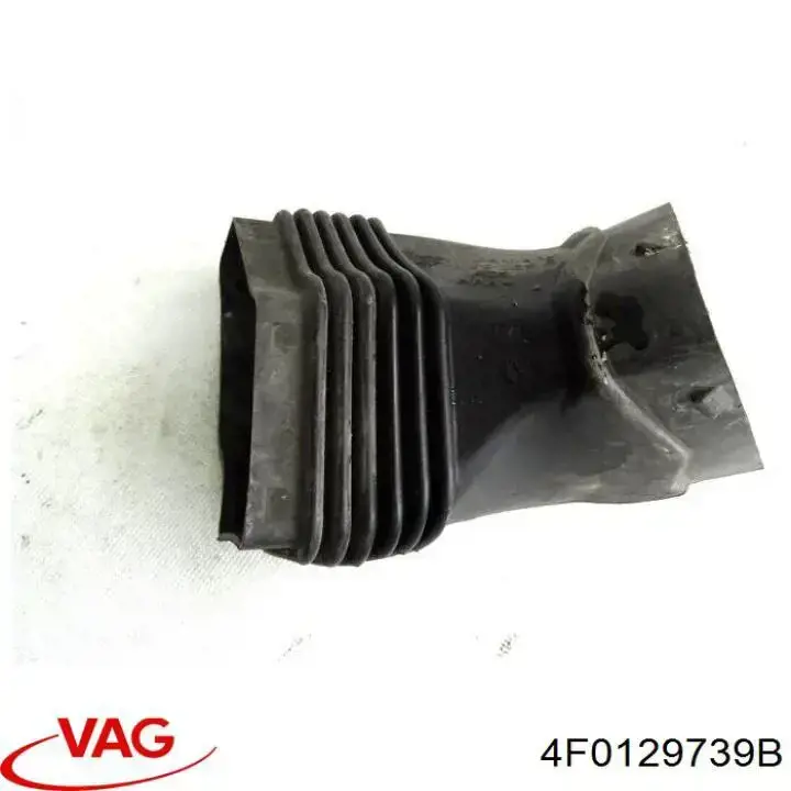 4F0129739B VAG