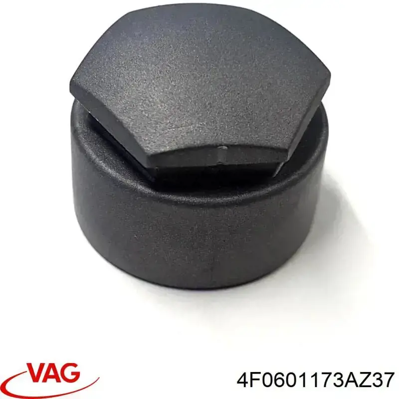 VAG 4F0601173AZ37