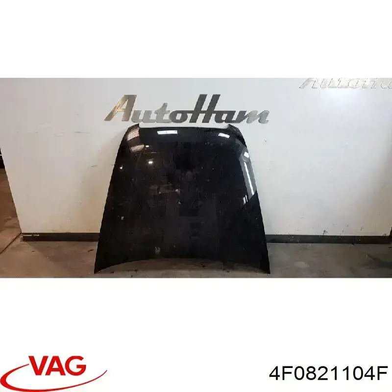 Guardabarros delanteros derecho VAG 4F0821104F precio, desde 101,38 EUR