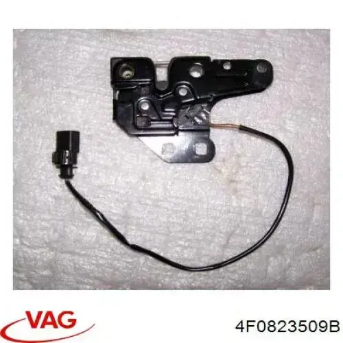 Cerradura de capó VAG 4F0823509B precio, desde 25,30 EUR