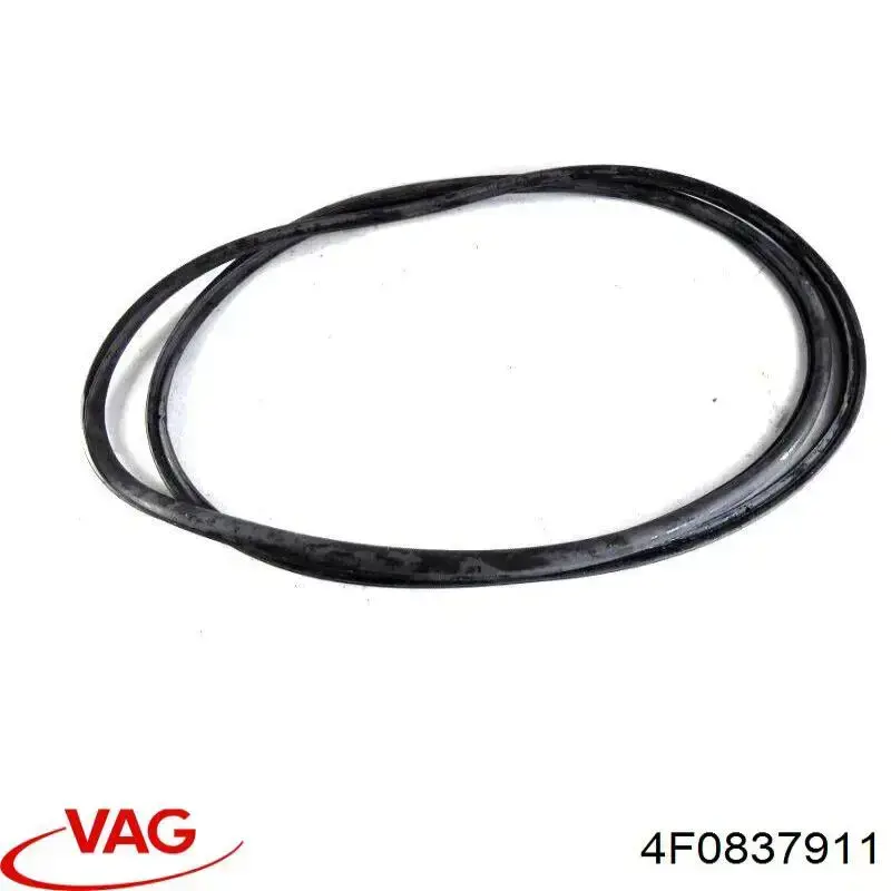Junta de puerta delantera (en la carrocería) VAG 4F0837911 precio, desde 54,75 EUR