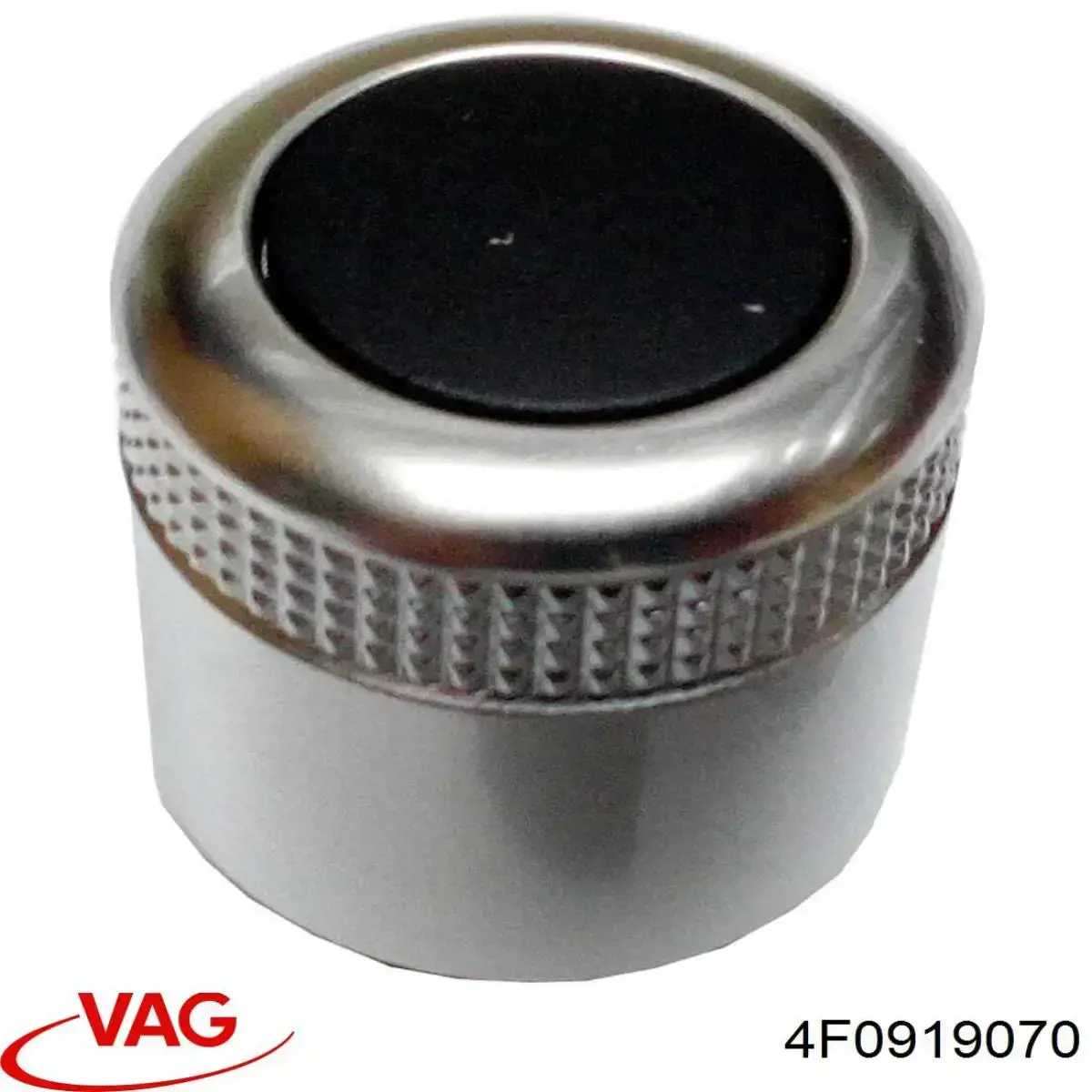 4F0919070 VAG