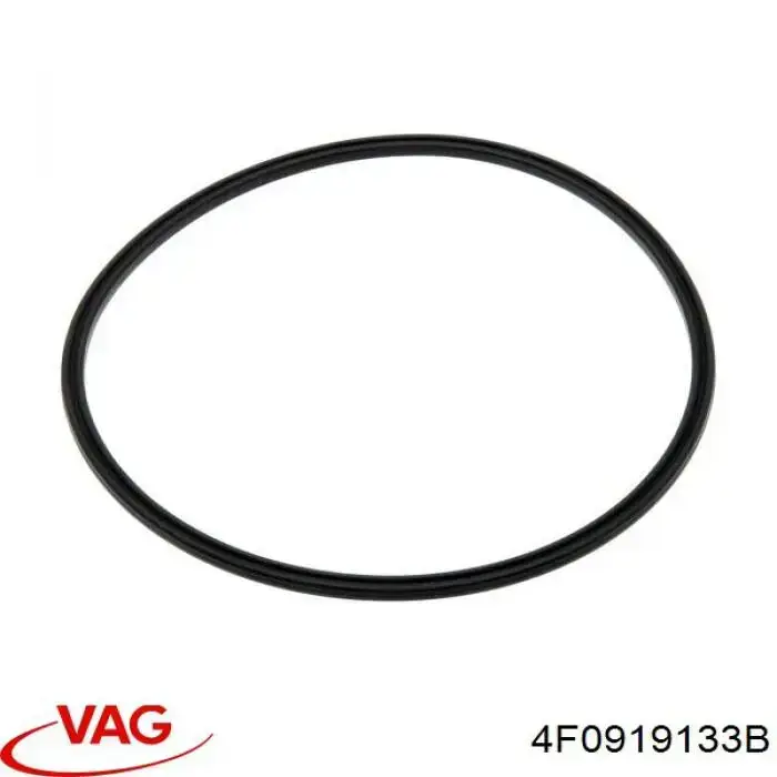 Junta del sensor de nivel de combustible/bomba de combustible (depósito de combustible) 4F0919133B VAG
