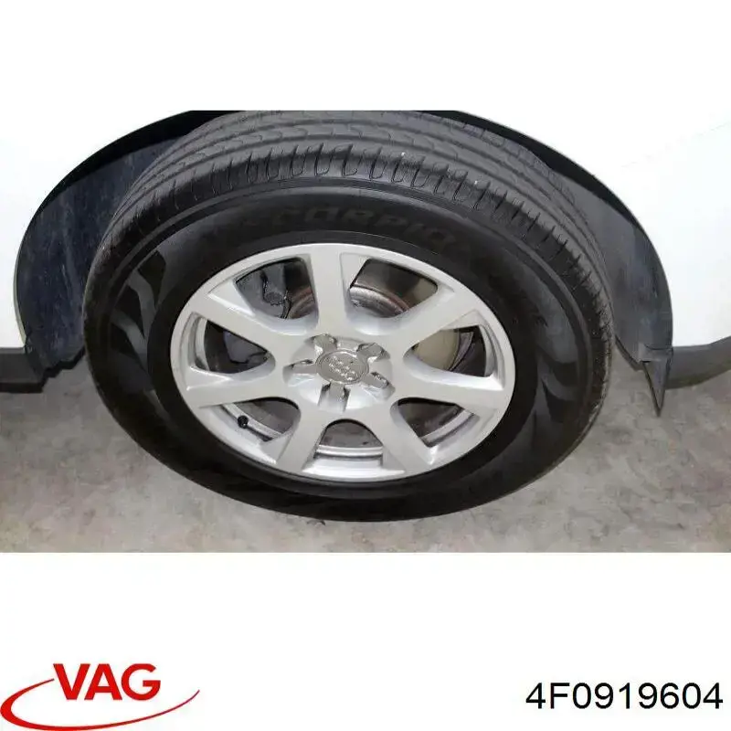 Display VAG 4F0919604