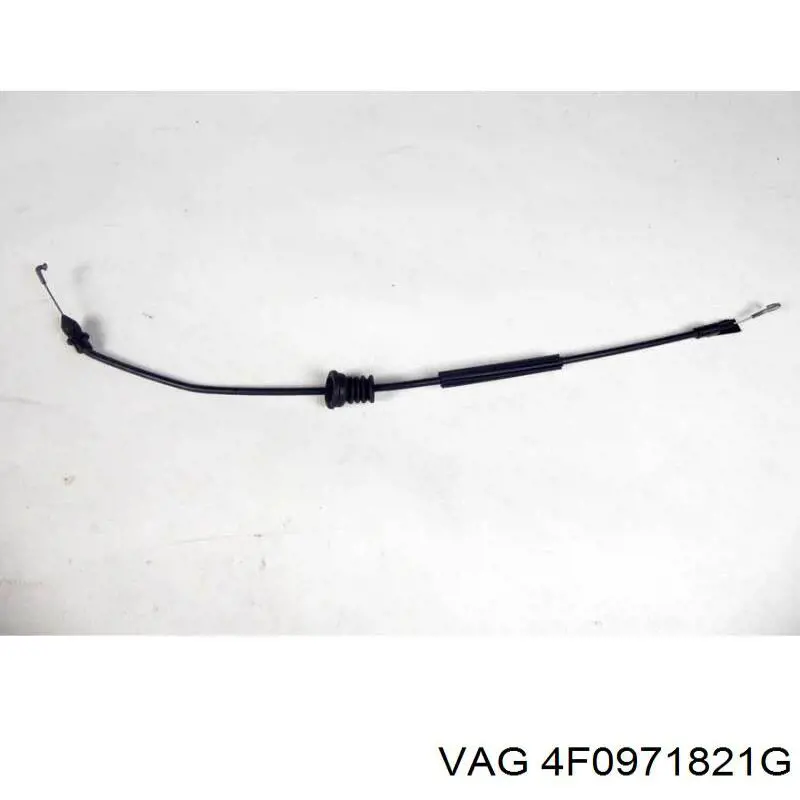  4F0971821G VAG
