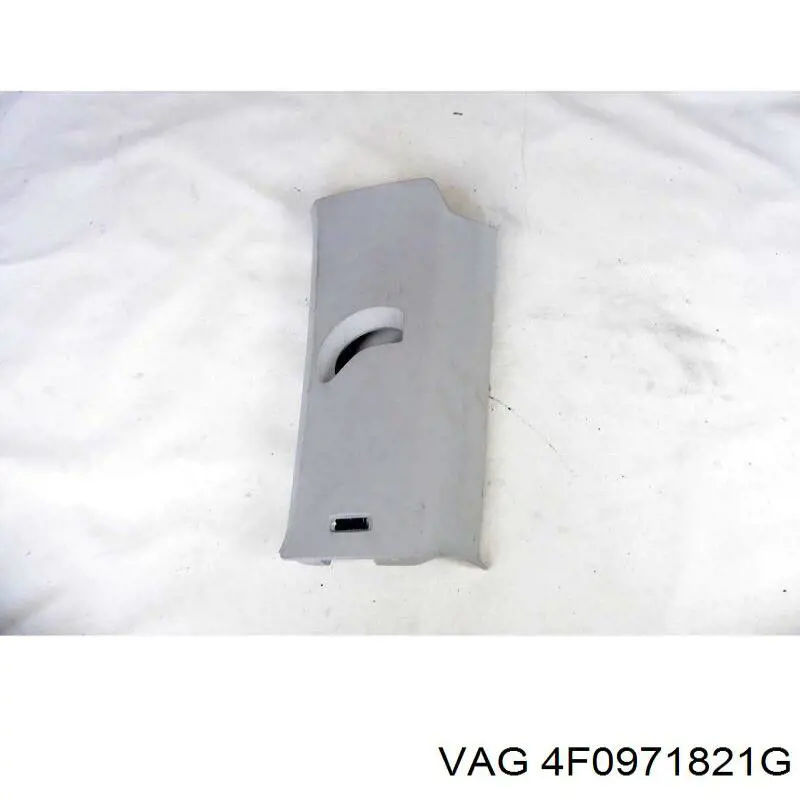 Comprar 4F0971821G VAG 