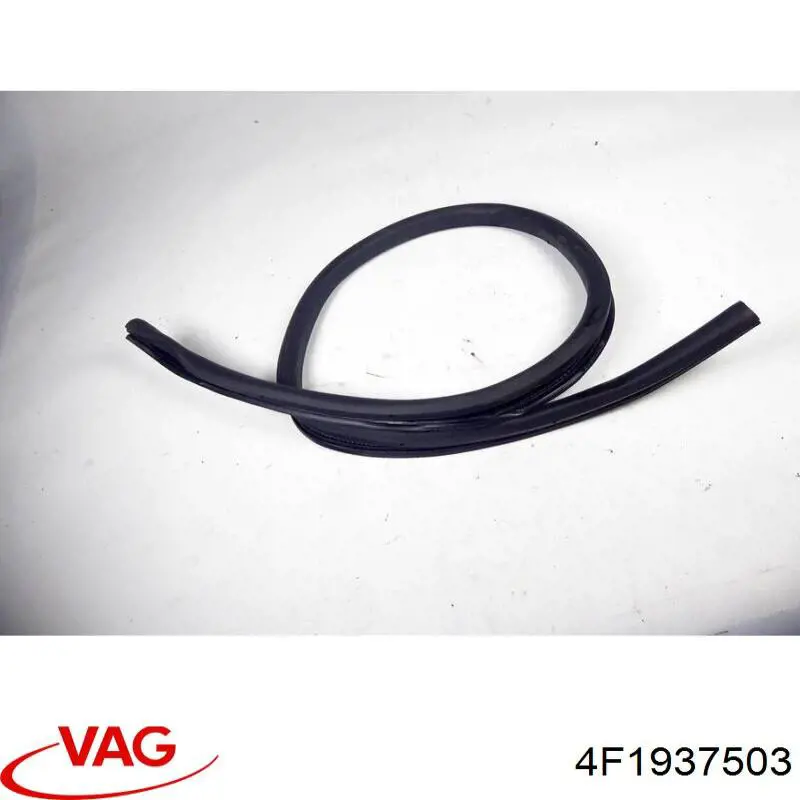  VAG 4F1937503