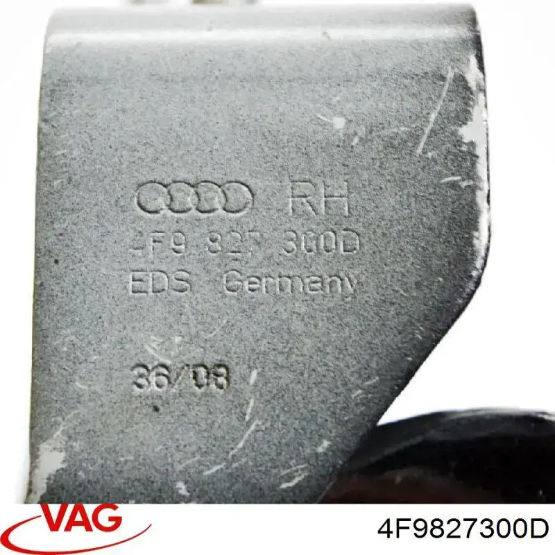 Bisagra de puerta de maletero para Audi A6 (4FH)