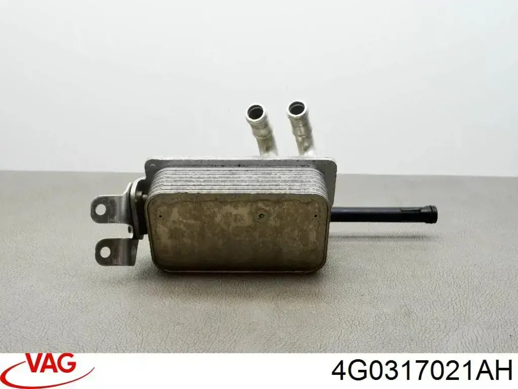  VAG 4G0317021AR