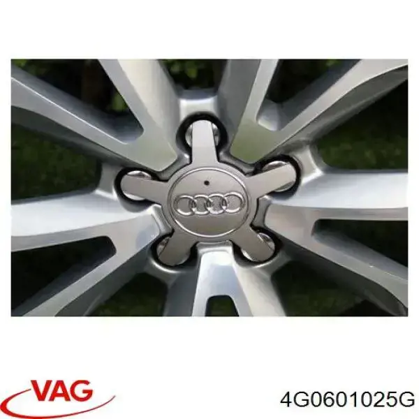 4G0601025G VAG