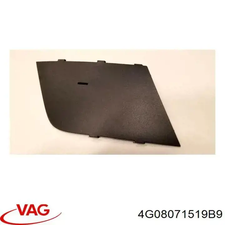 4G08071519B9 VAG