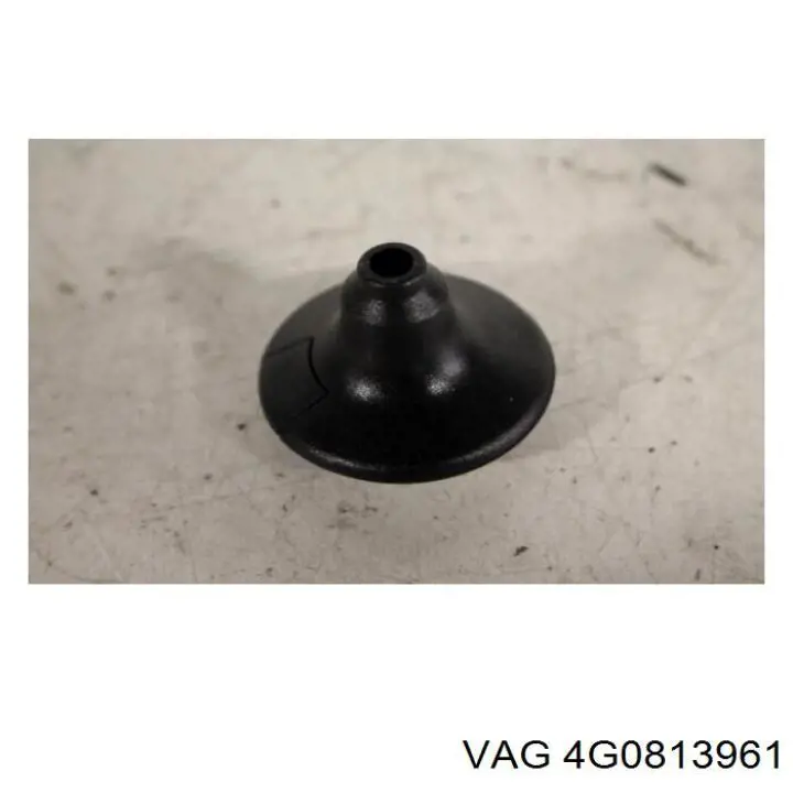 4G0813961 VAG