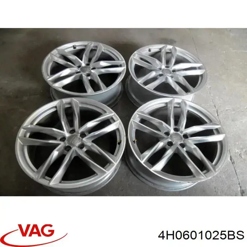 Rines VAG 4H0601025BS precio, desde 437,05 EUR