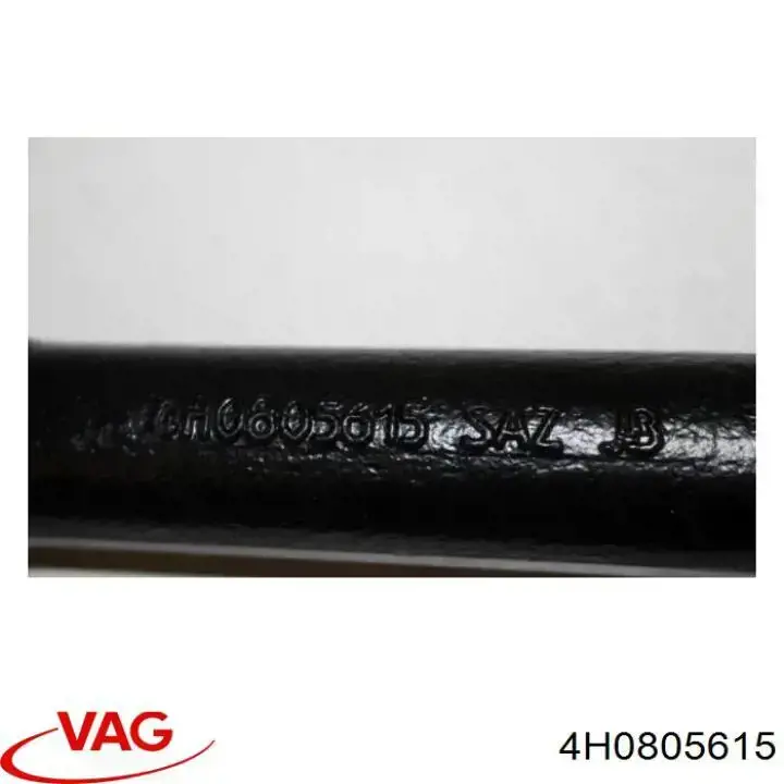  VAG 4H0805615