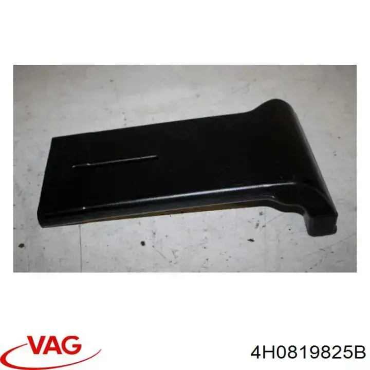 4H0819825B VAG