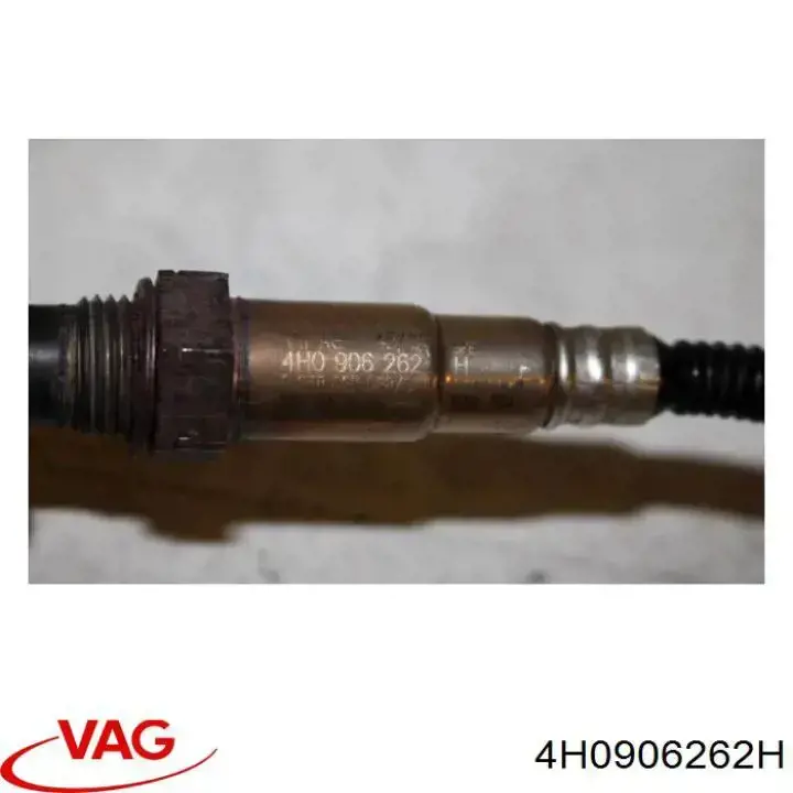  4H0906262H VAG