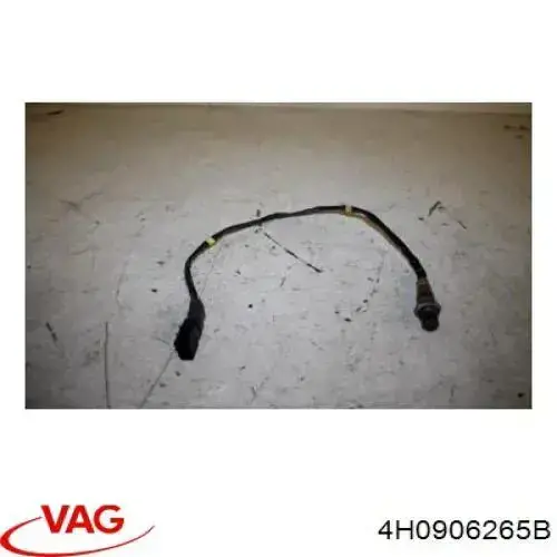  VAG 4H0906265B