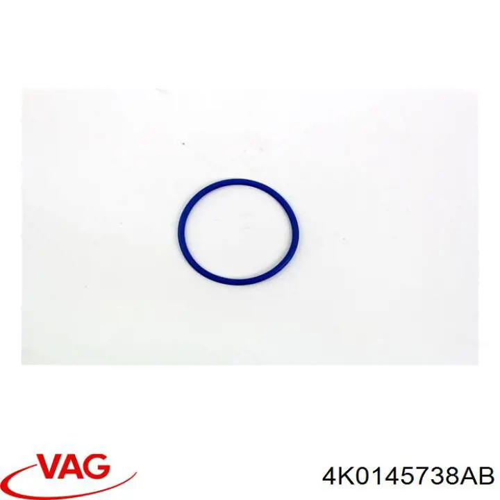 4K0145738AB VAG