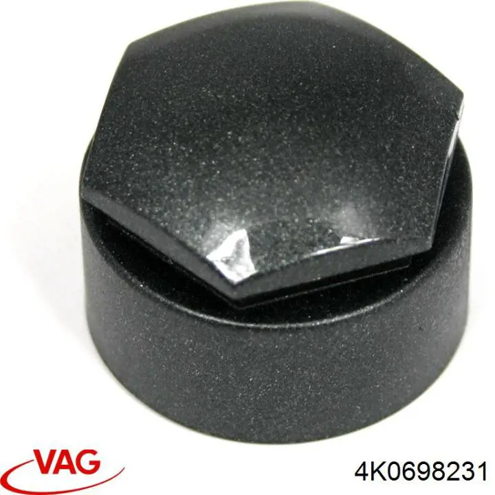  VAG 4K0698231