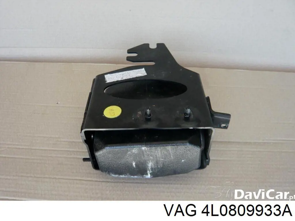  VAG 4L0809933A