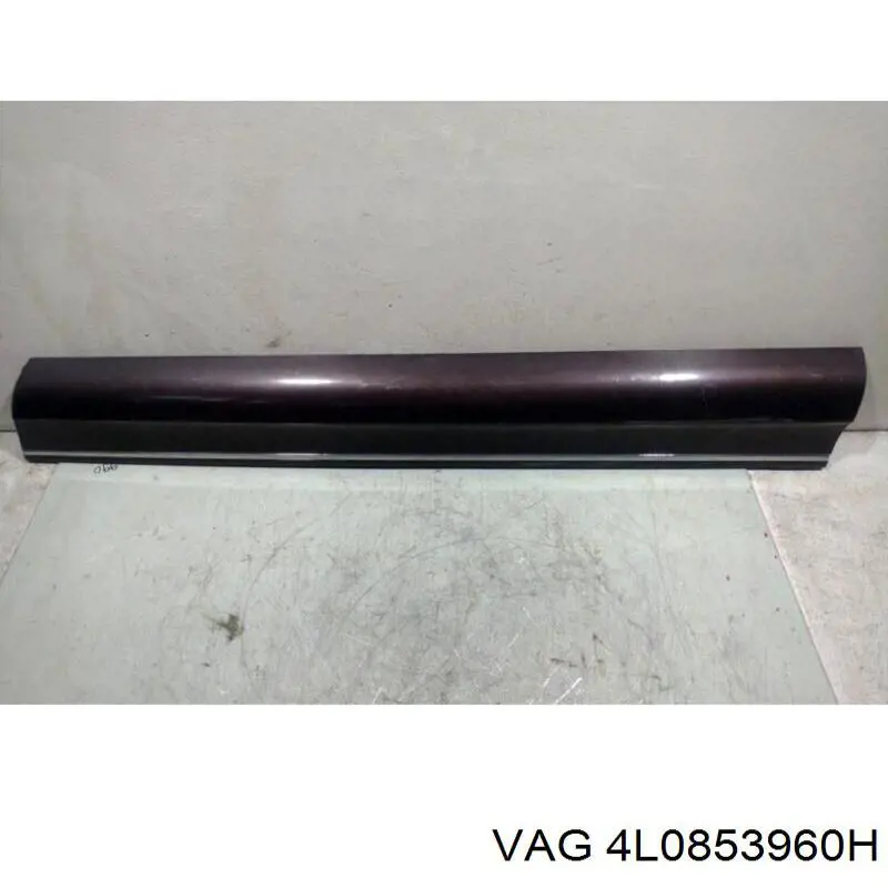 4L0853960H VAG Moldura de la puerta delantera derecha