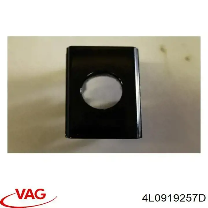 4L0919257DT94 VAG