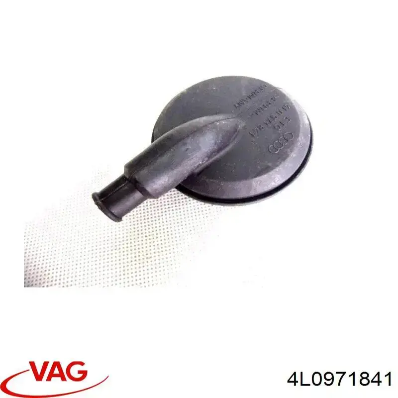 4L0971841 VAG