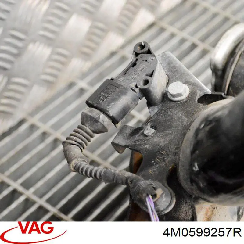 Comprar 4M0599257R VAG Silentblock trasero