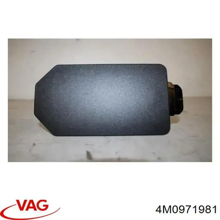  VAG 4M0971981