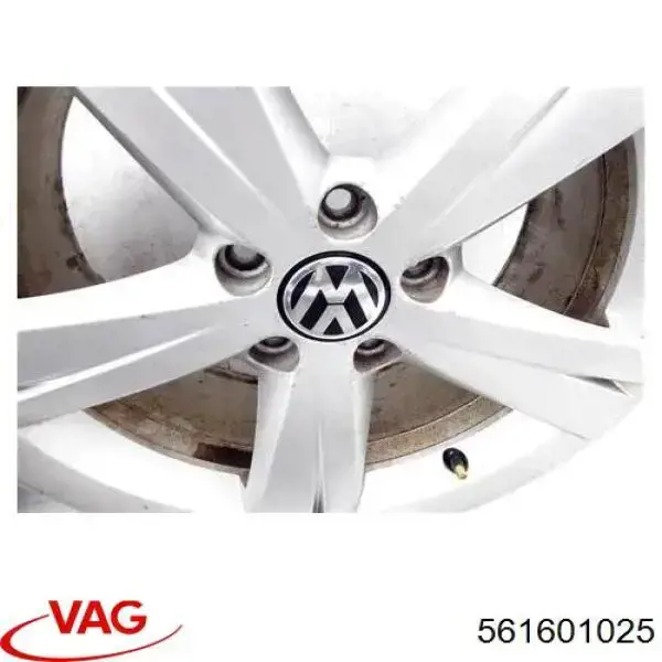 Rines VAG 561601025 precio, desde 492,23 EUR