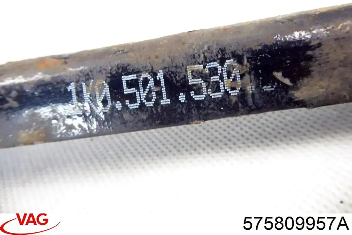  VAG 575809957A