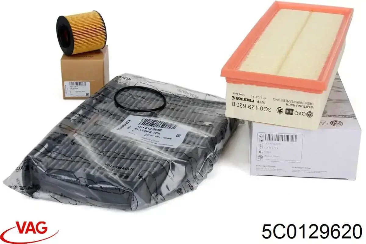 Filtro de aire Volkswagen Golf 5 1K1