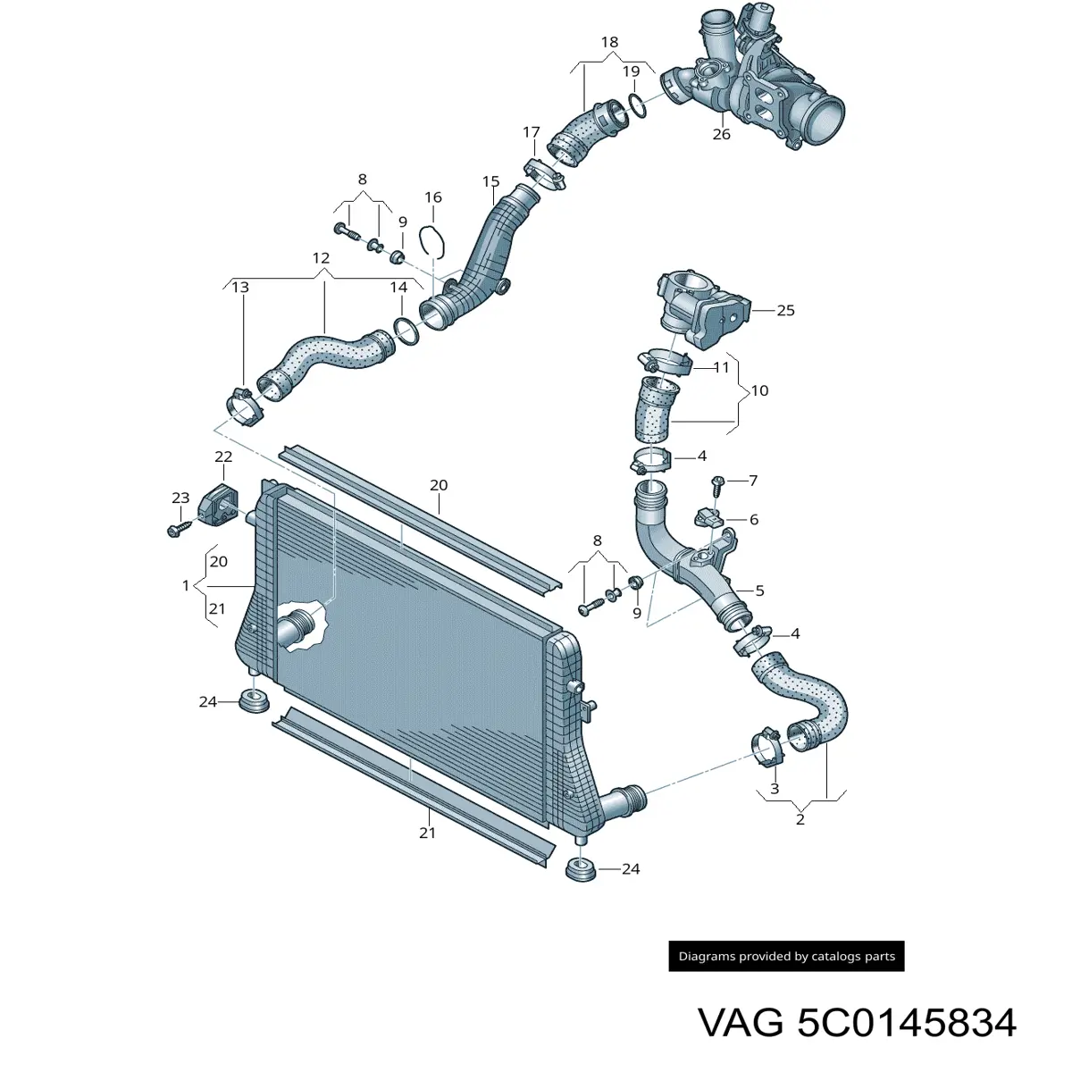 Manguera del intercooler VAG 5C0145834 precio, desde 53,72 EUR