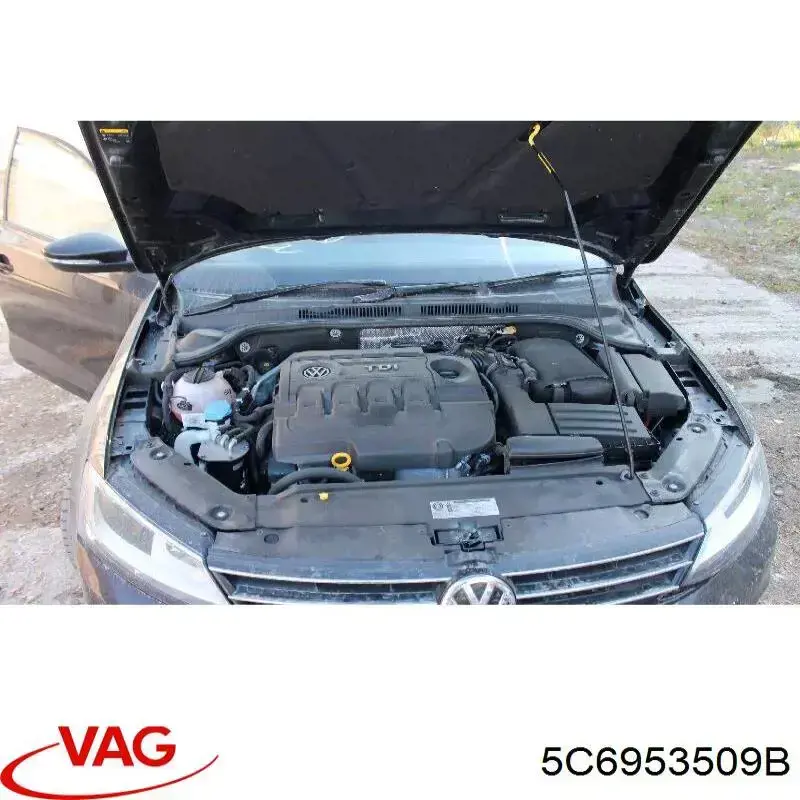 5C6953509B VAG