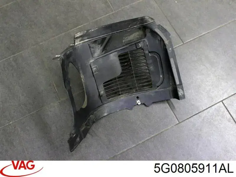 Guardalodos delantero izquierdo VG4003604 Prasco