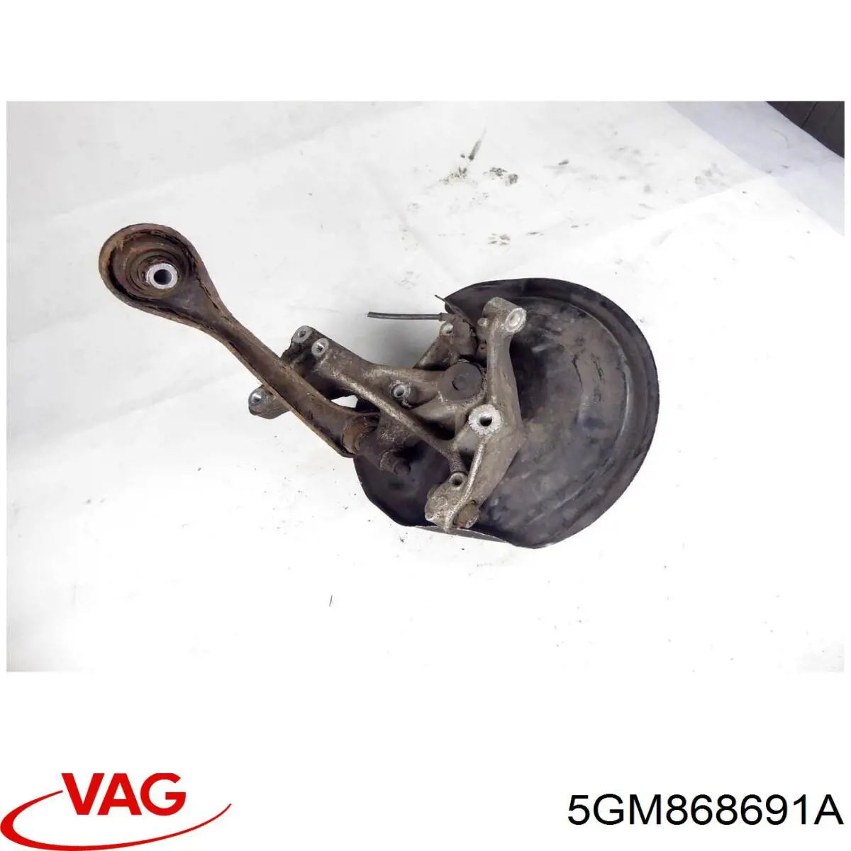 5GM868691A VAG