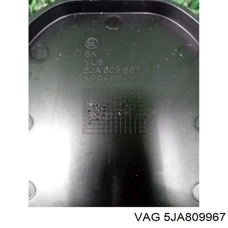 5JA809967 VAG