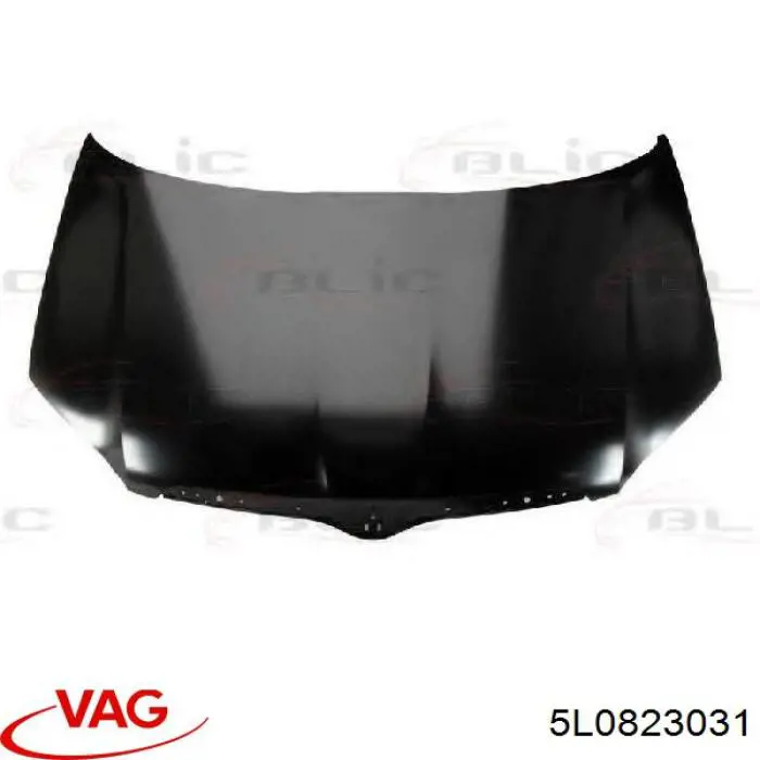 Capó del motor VAG 5L0823031 precio, desde 193,95 EUR