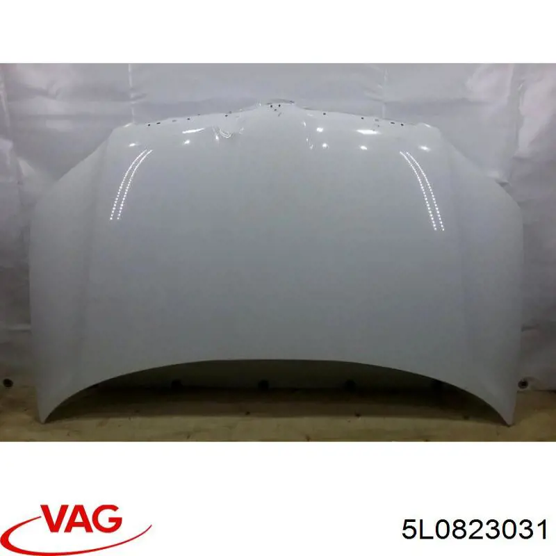 Comprar 5L0823031 VAG Capó