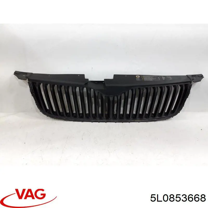 5L0853668 VAG Calandra