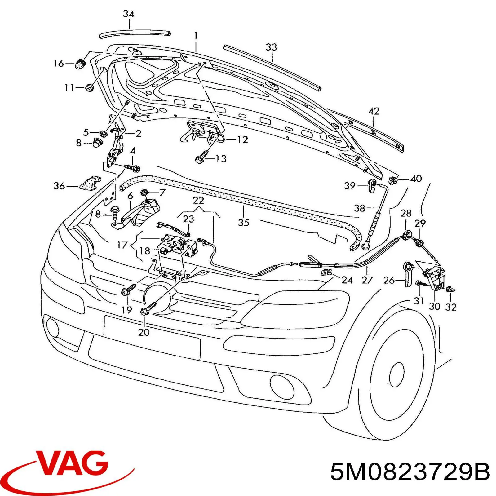 5M0823729B VAG 