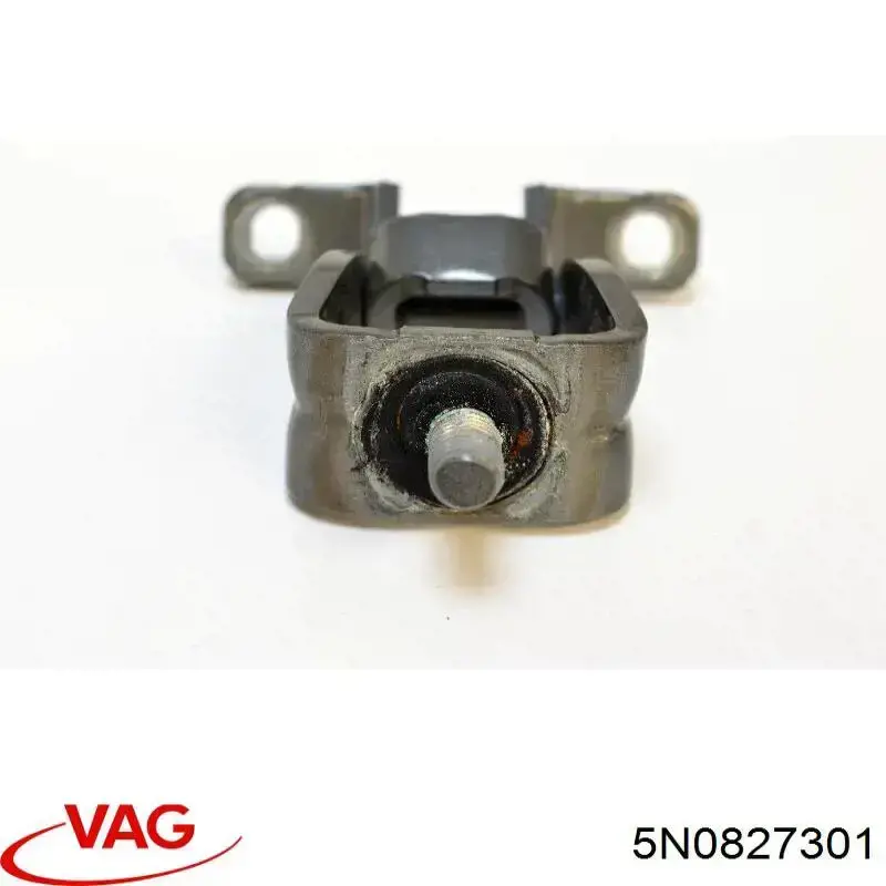 Bisagra de puerta trasera VAG 5N0827301 precio, desde 80,22 EUR